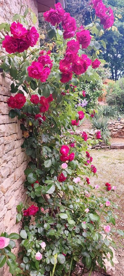 Aux Couleurs D'esteil Bed & Breakfast